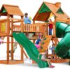 Wilderness Gym Swing Set